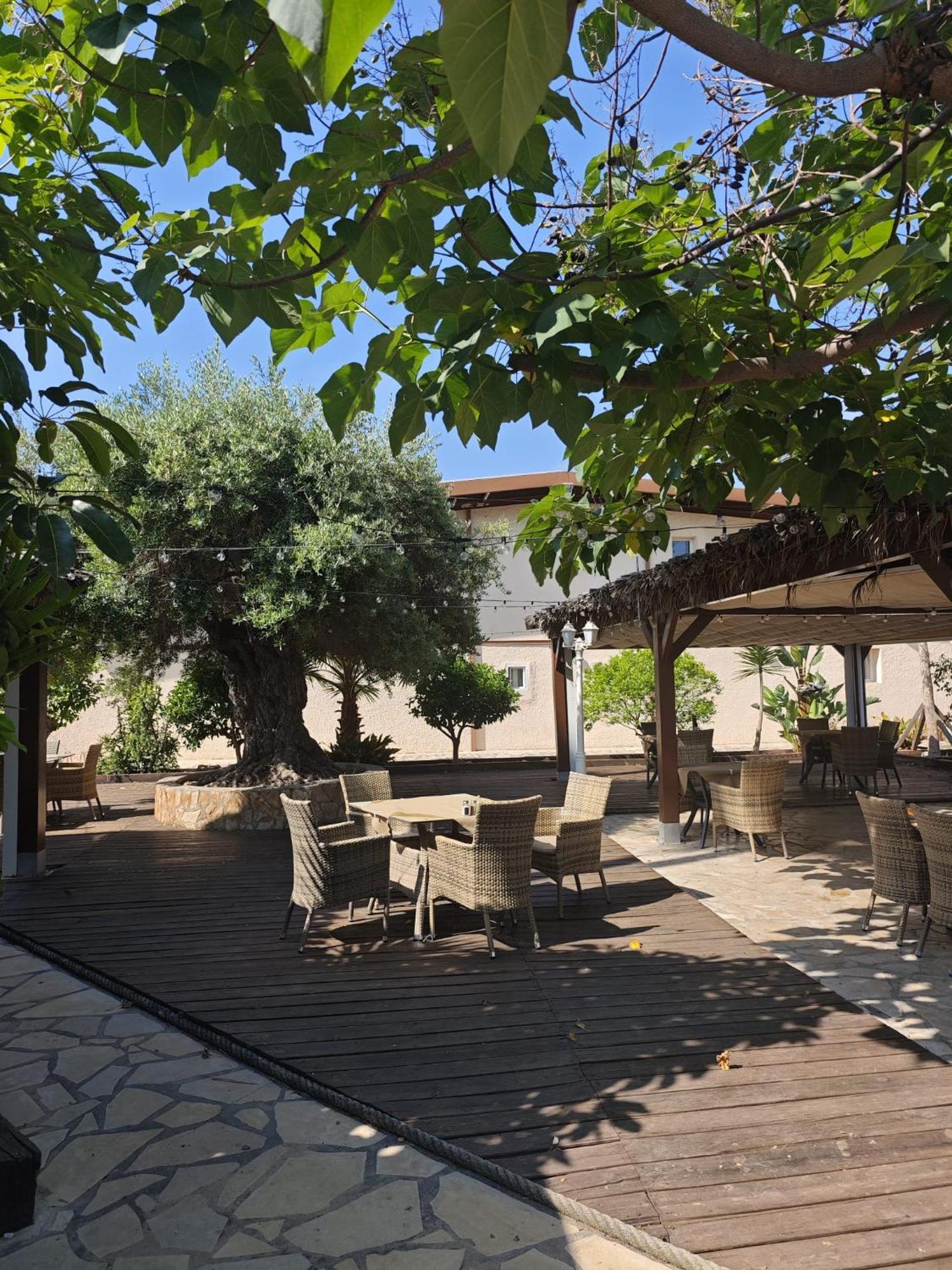 Cafe Soles Gasthof Dénia
